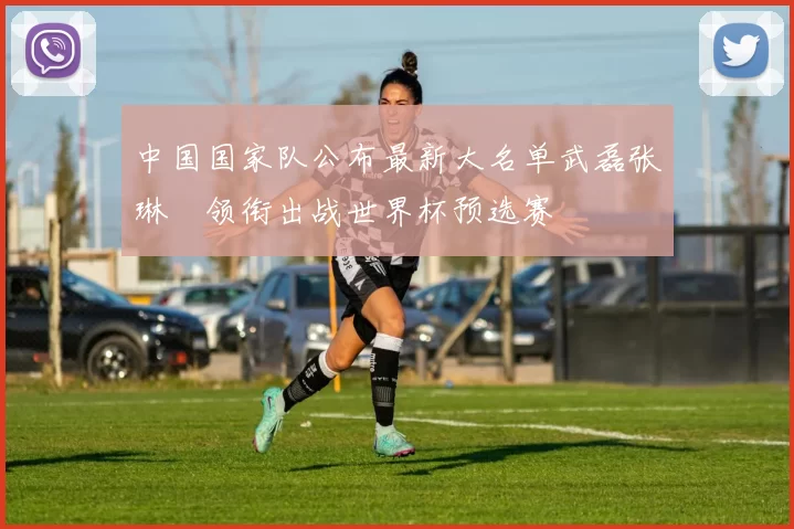 中国国家队公布最新大名单武磊张琳芃领衔出战世界杯预选赛