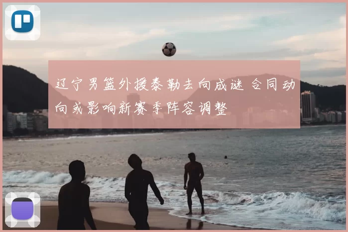 辽宁男篮外援泰勒去向成谜 合同动向或影响新赛季阵容调整