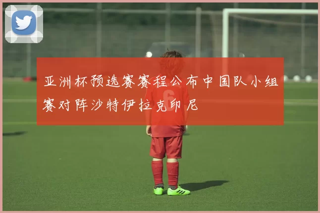 亚洲杯预选赛赛程公布中国队小组赛对阵沙特伊拉克印尼