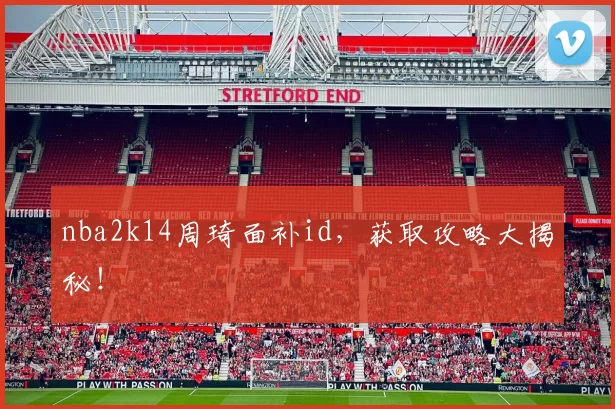 nba2k14周琦面补id，获取攻略大揭秘！