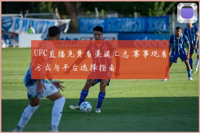 UFC直播免费看渠道汇总 赛事观看方式与平台选择指南